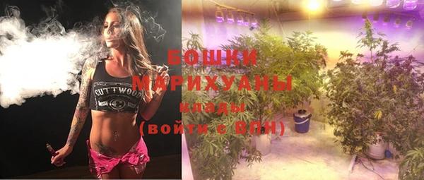 прущая мука Новодвинск